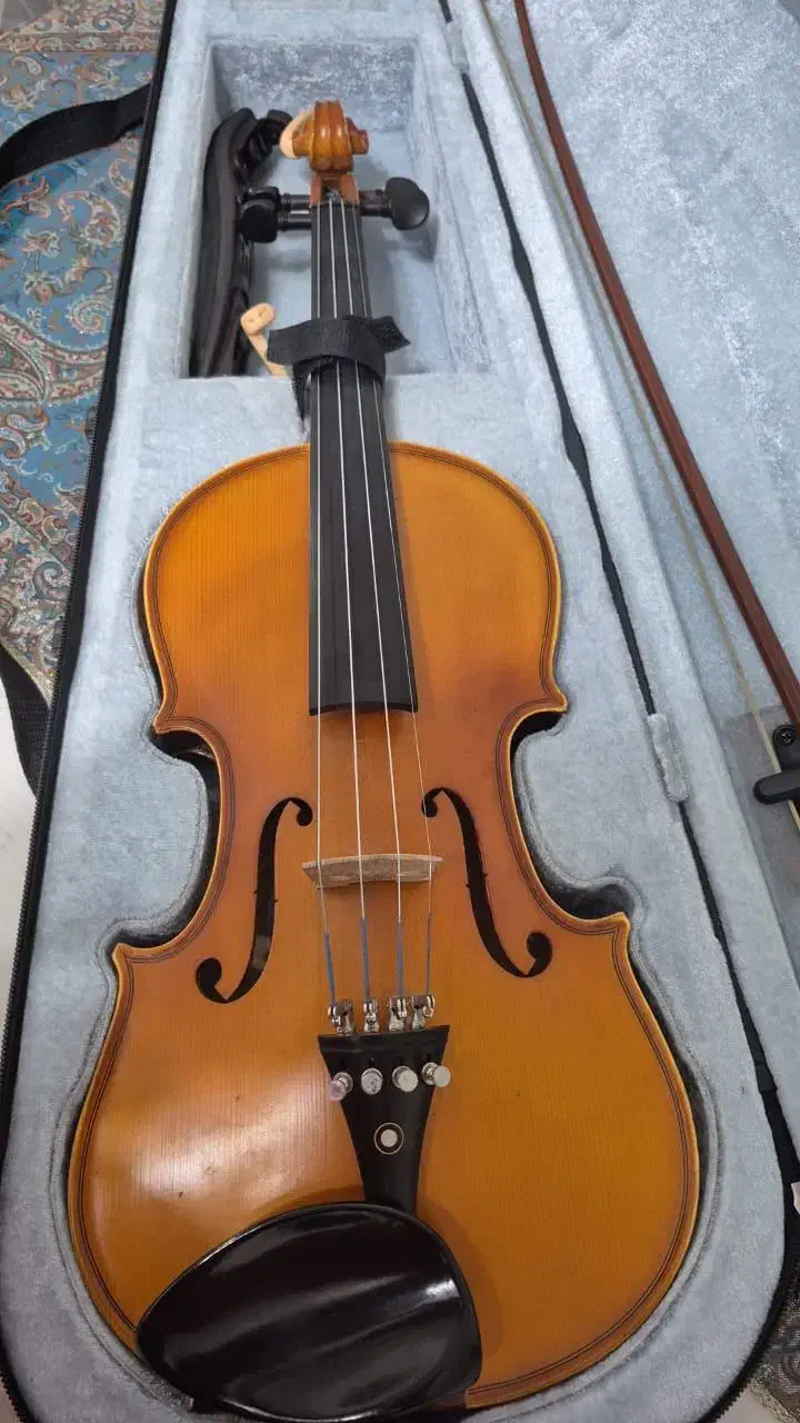 فروش ویولن|ویولن|جم, |دیوار