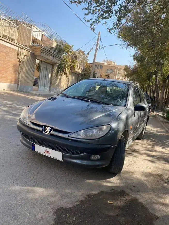 206 tu5 موتور nfu موتور سالم و عالی پر شتاب|خودرو سواری و وانت|اصفهان, برازنده|دیوار