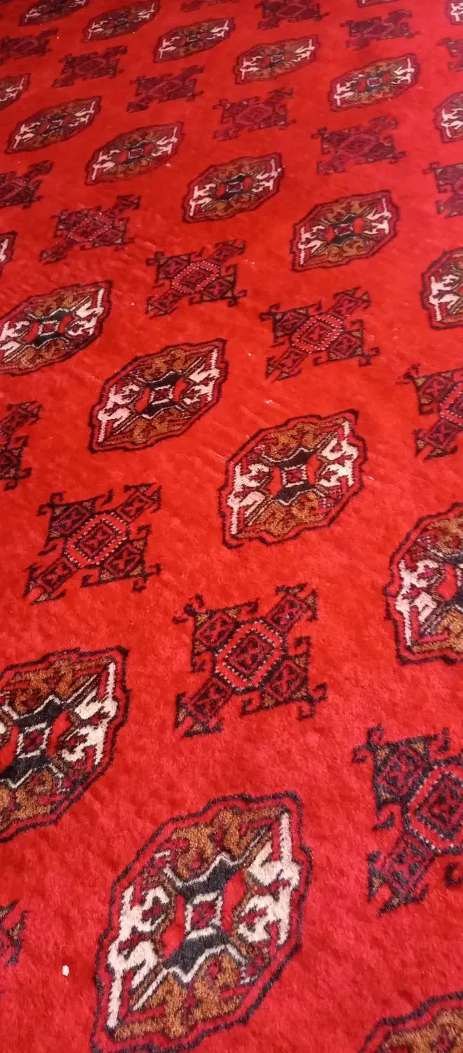 فرش دستبافت وفرش ماشینی|فرش|زاهدان, |دیوار