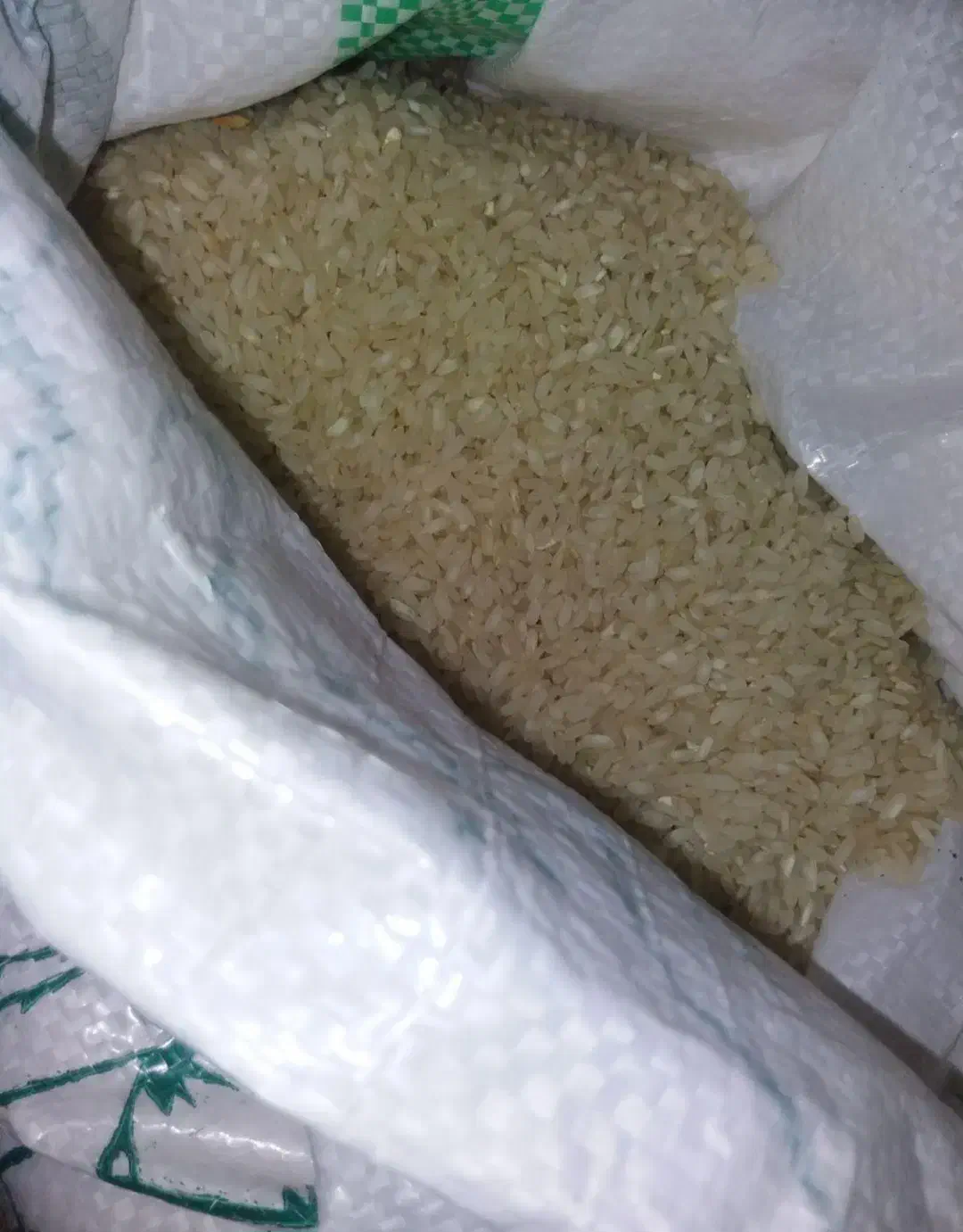 برنج لنجون زرین شهر|خوردنی و آشامیدنی|اصفهان, شاهزاده ابراهیم|دیوار