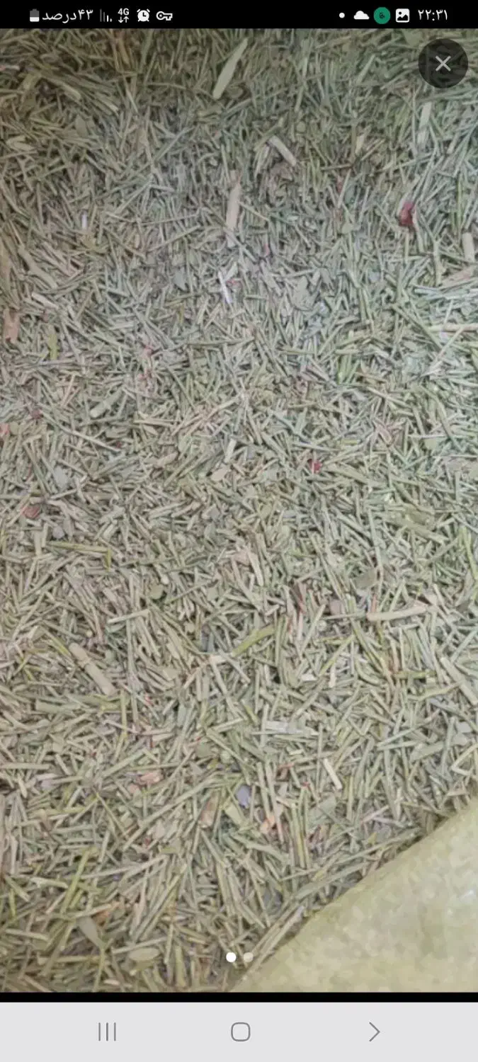 کاه خار|حیوانات مزرعه|نیشابور, ده حلاج|دیوار