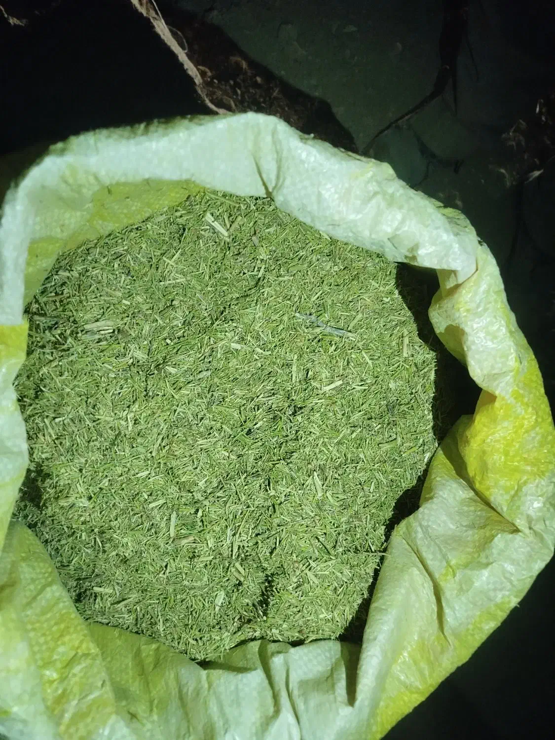 خار فروشی|لوازم جانبی حیوانات|صالح آباد (خراسان), |دیوار