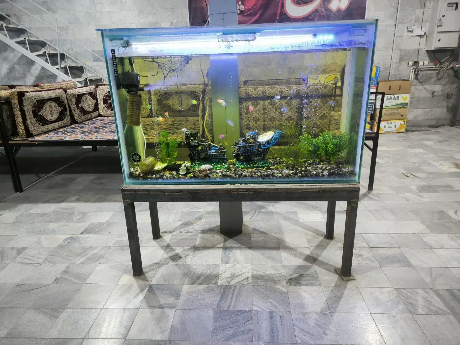 اکواربوم دهگلان|ماهی|دهگلان, |دیوار