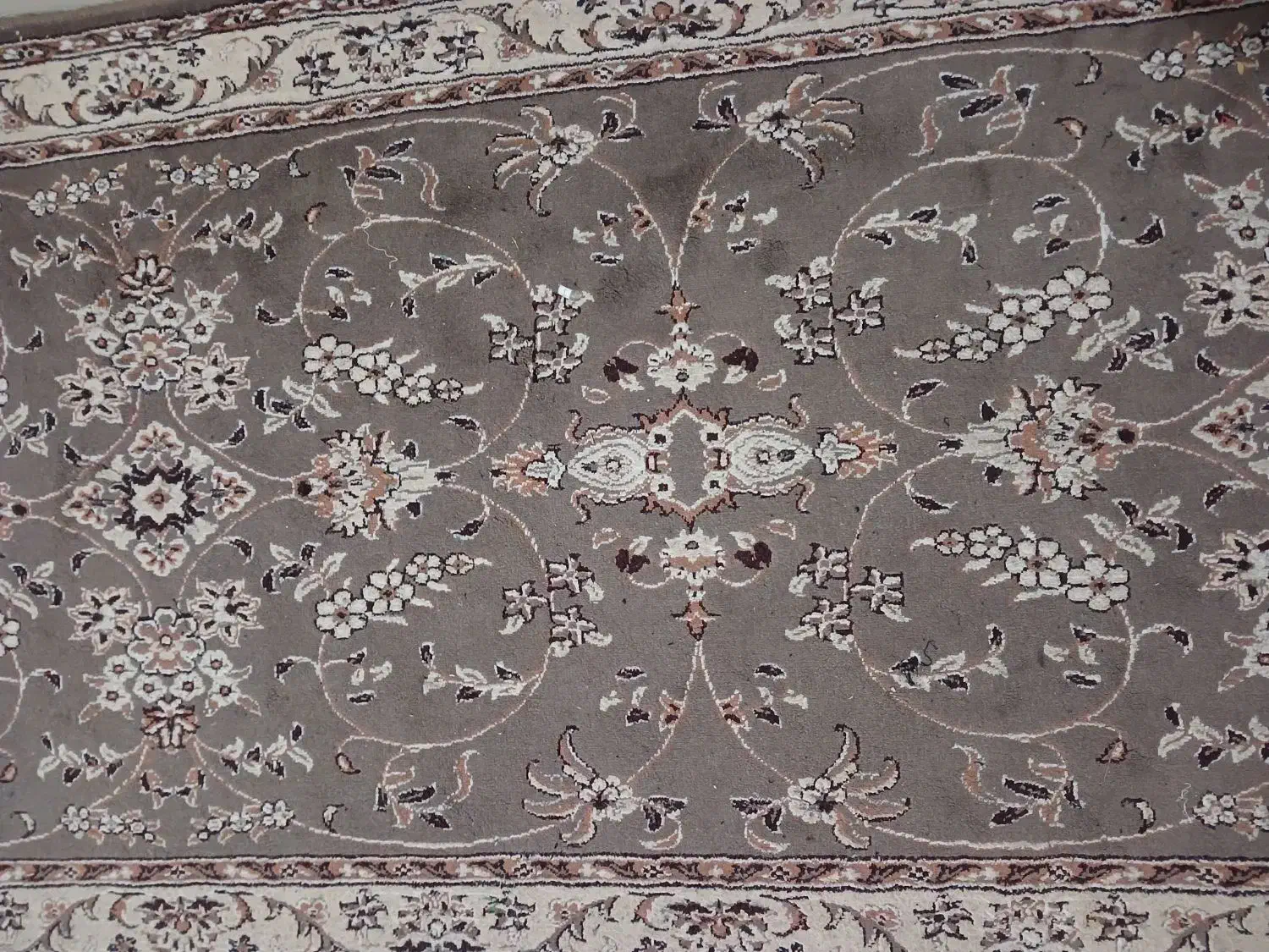 کناره عرض۱۱۰|گلیم، جاجیم، گبه|بردسکن, |دیوار