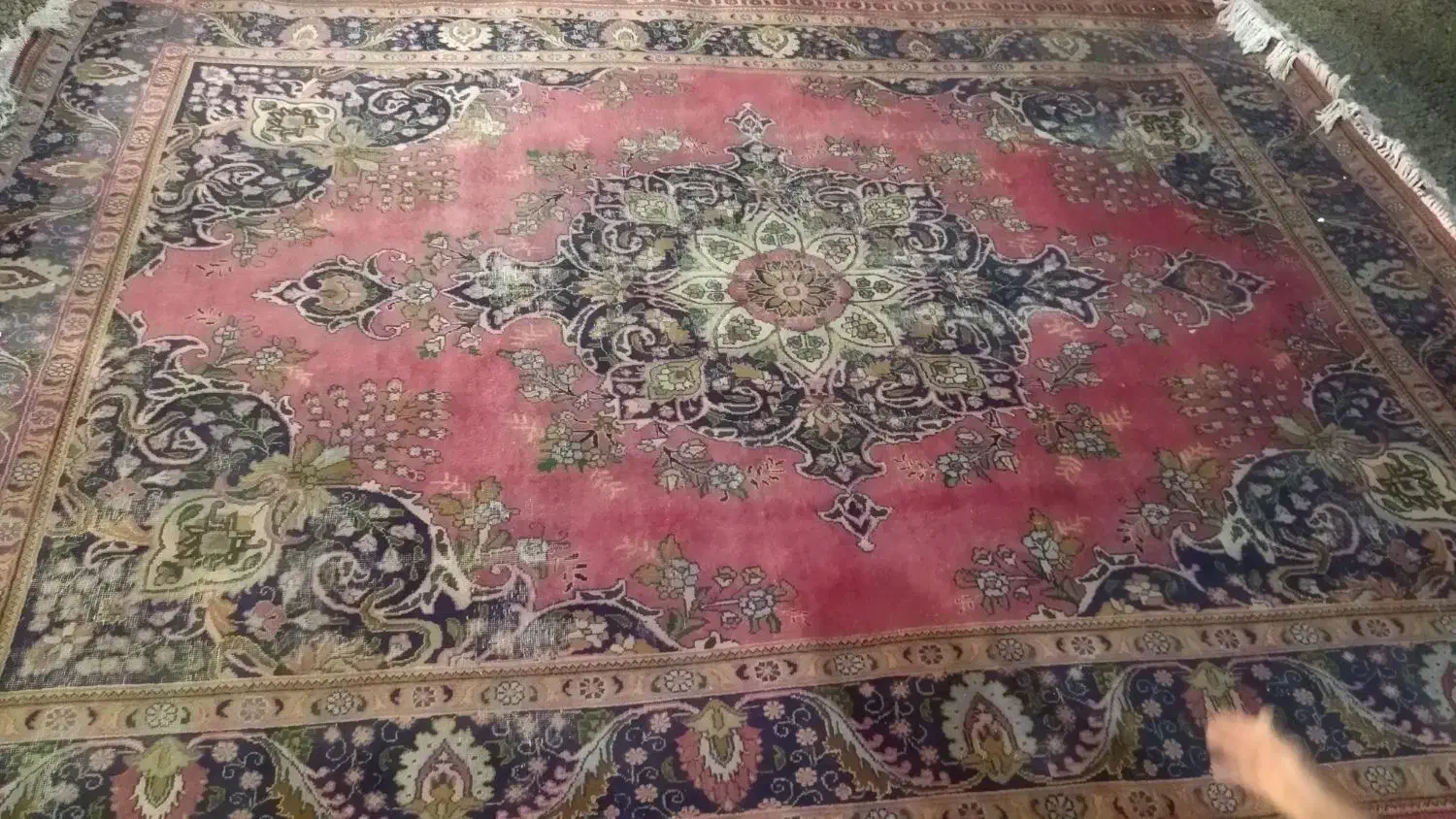 فروش فرش طبیعی|فرش|میاندوآب, |دیوار