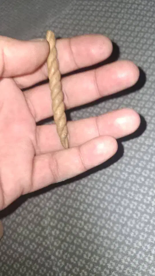 عرج سواحل برای زیاد شدن روزی|کلکسیون اشیاء عتیقه|شاهدشهر, |دیوار