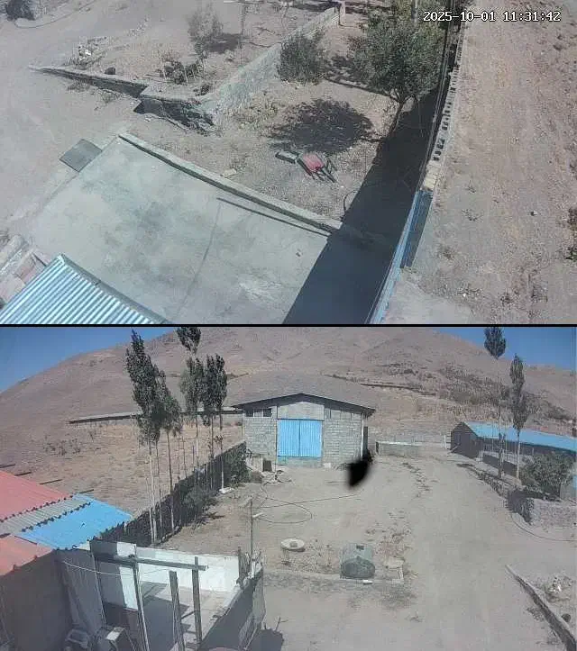 محوطه و سالن گاوداری|فروش دفتر صنعتی، کشاورزی، تجاری|بوئین زهرا, |دیوار