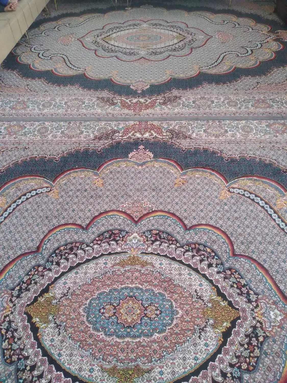 فروش فرش|فرش|داراب, |دیوار