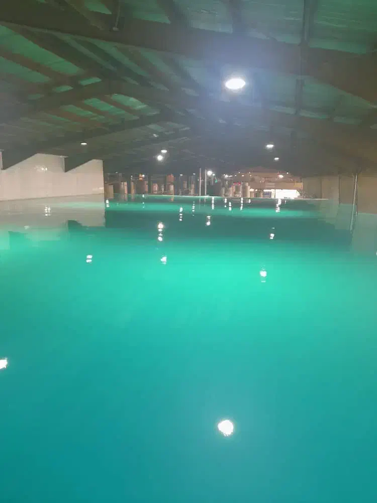 کفپوش اپوکسی رزین اپوکسی|خدمات پیشه و مهارت|مشهد, کلاهدوز|دیوار