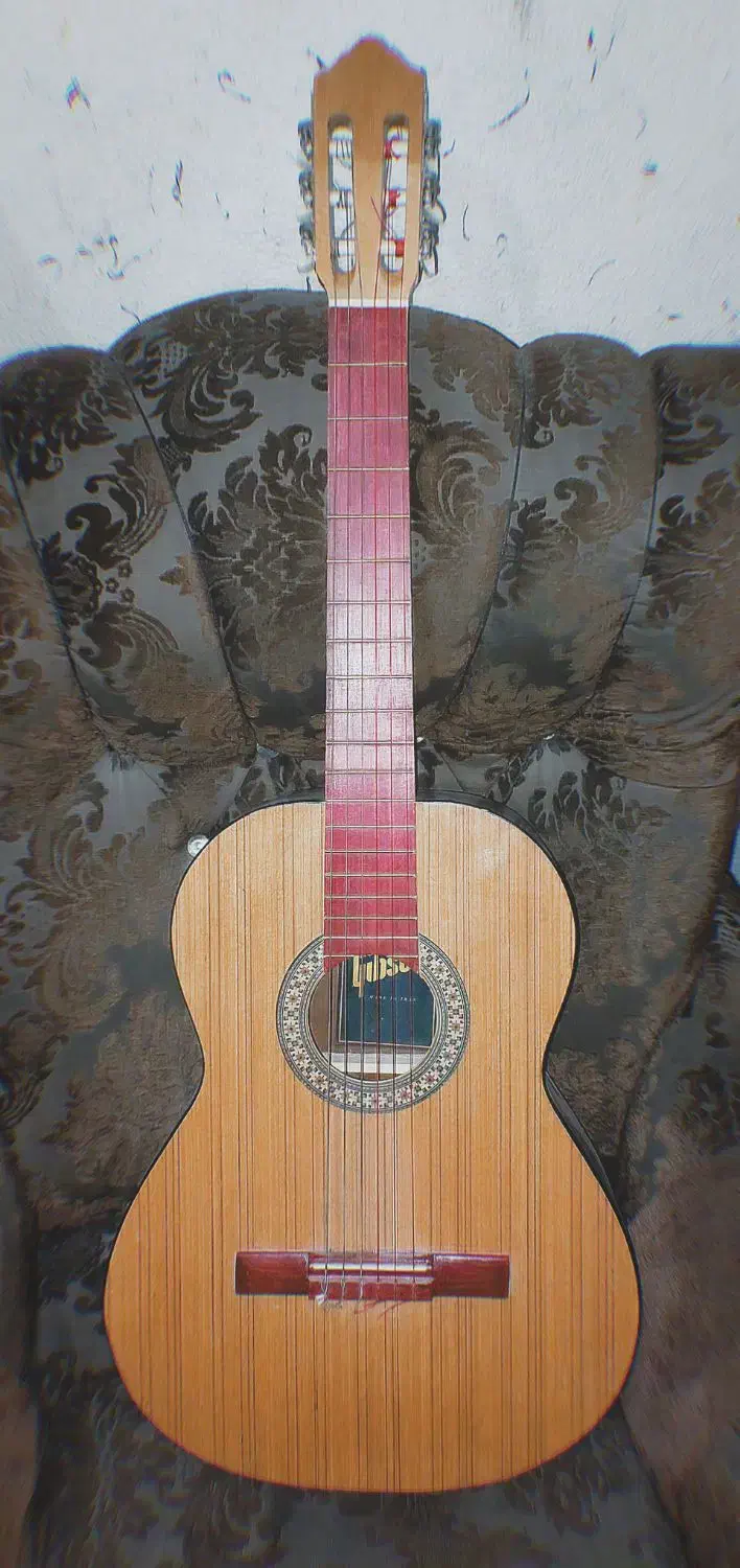 گیتار گیبسون کاملا نو|گیتار، بیس، امپلیفایر|اصفهان, تیران|دیوار