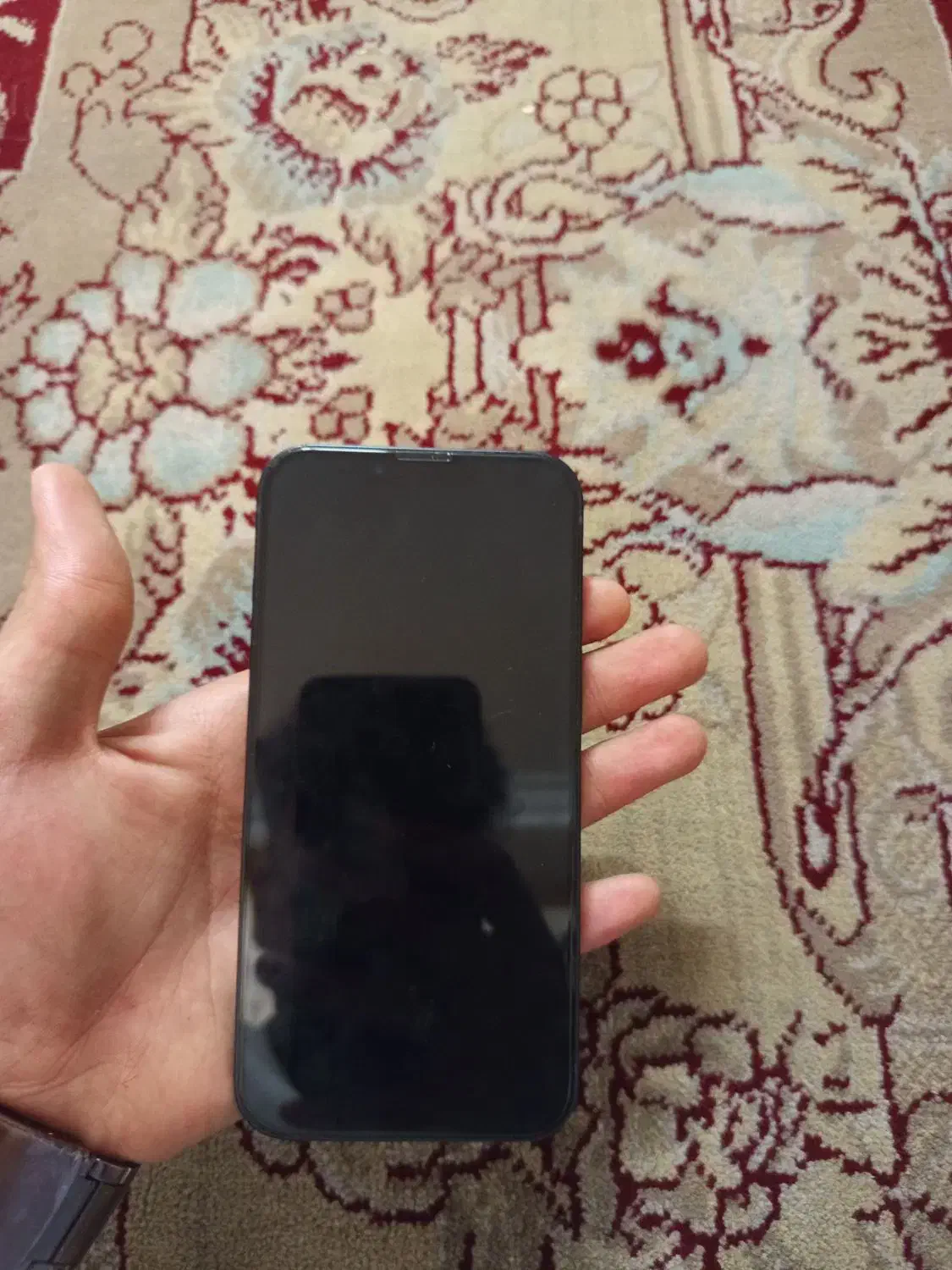 آیفون ۱۳ ch|موبایل|شهر ری, حمزه‌آباد|دیوار