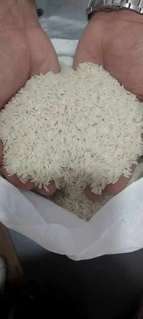 برنج طارم هاشمی یکدست|خوردنی و آشامیدنی|کیش, |دیوار