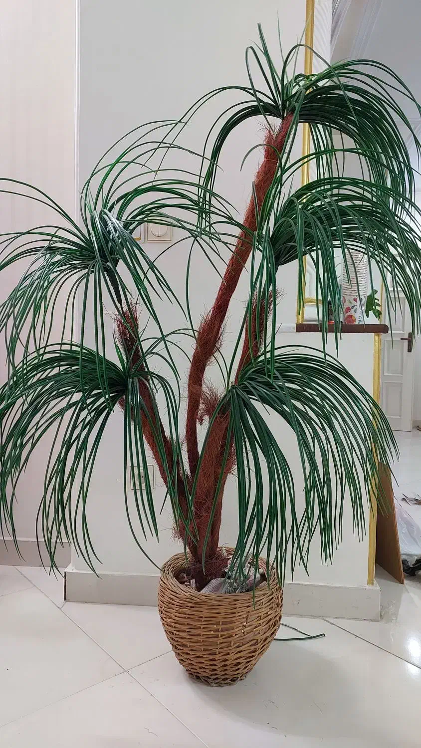 نخل مصنوعی|گل مصنوعی|شیراز, غدیر جنوبی|دیوار