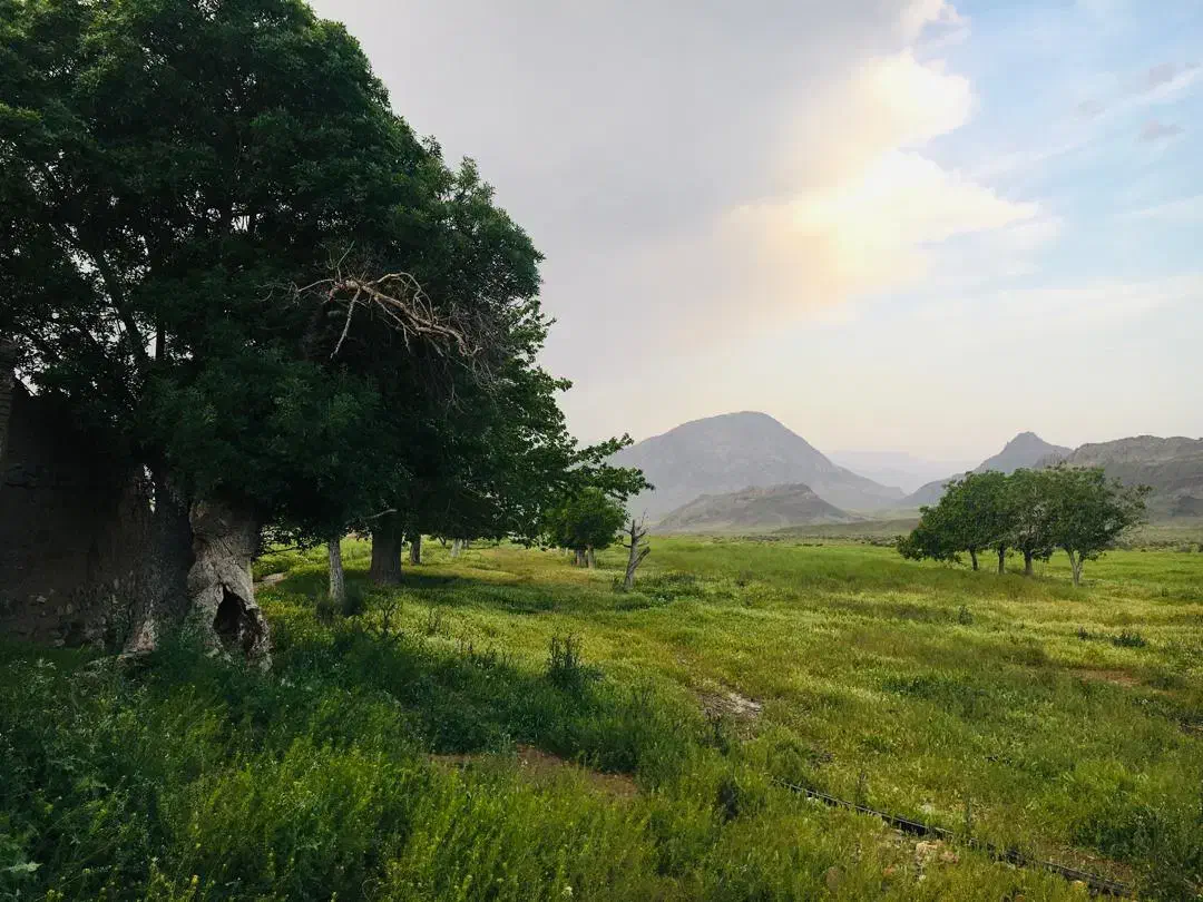 فروش ملک وزمین وساختمان|فروش دفتر صنعتی، کشاورزی، تجاری|سلفچگان, |دیوار