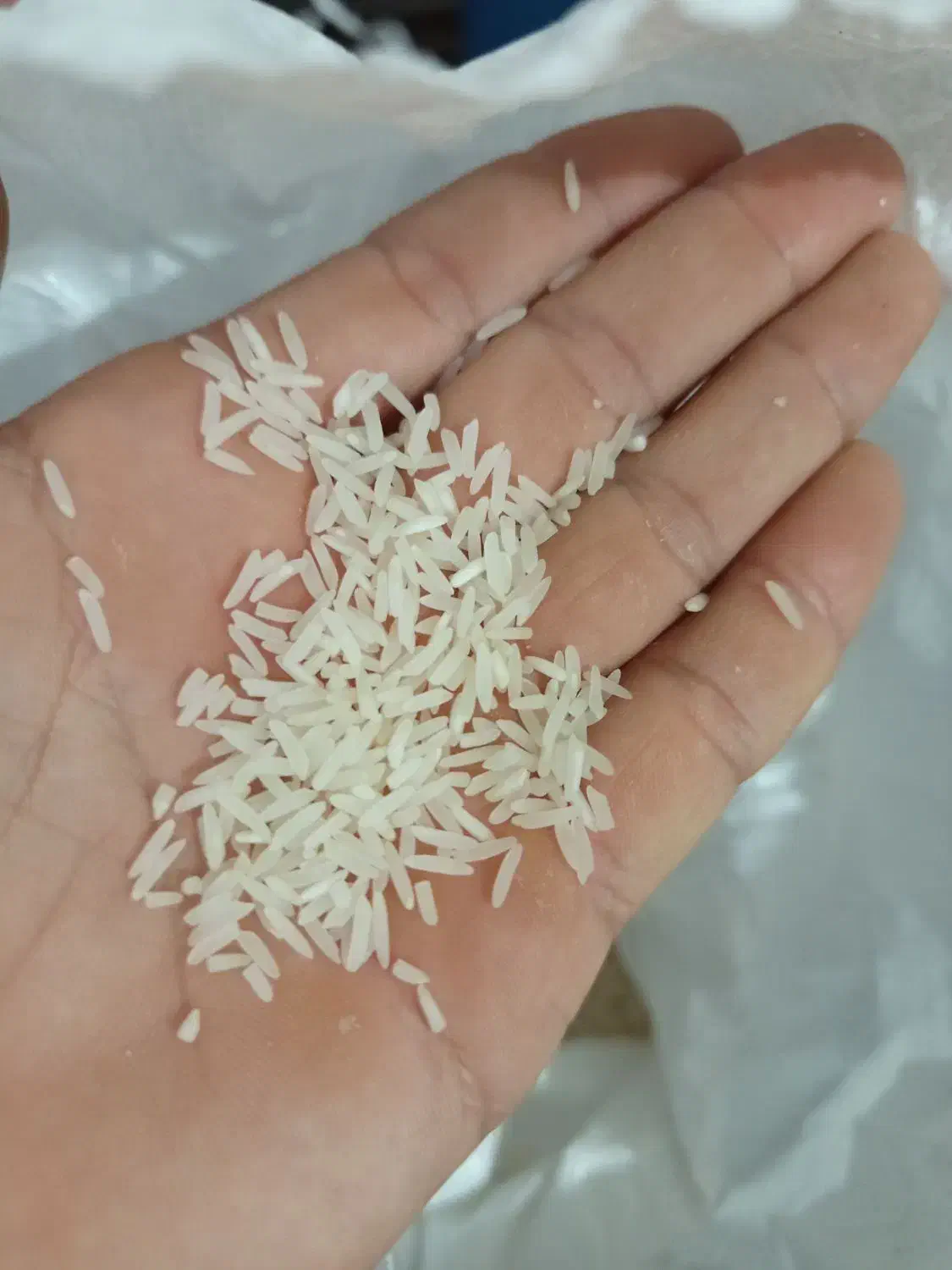 برنج فجر 90روزه|خوردنی و آشامیدنی|خان ببین, |دیوار