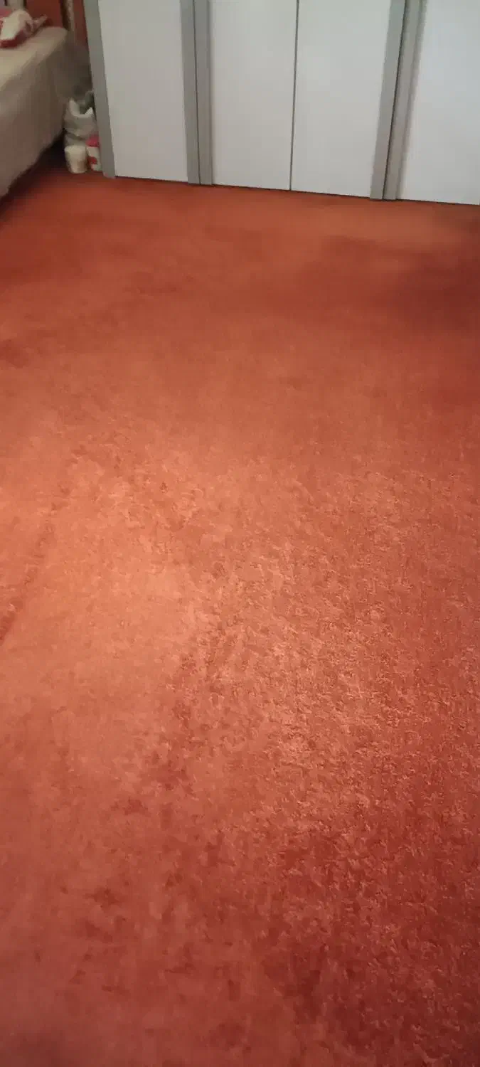 موکت|موکت|بوشهر, |دیوار