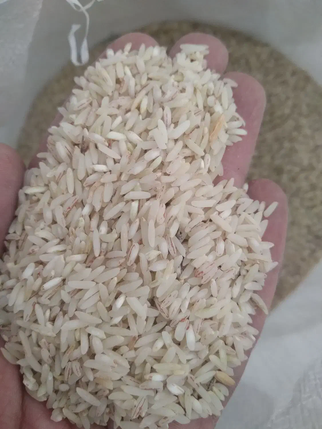 فروش برنج پاکستانی ۱۲۰۰میلیون|خوردنی و آشامیدنی|تربت جام, یحیی آباد|دیوار