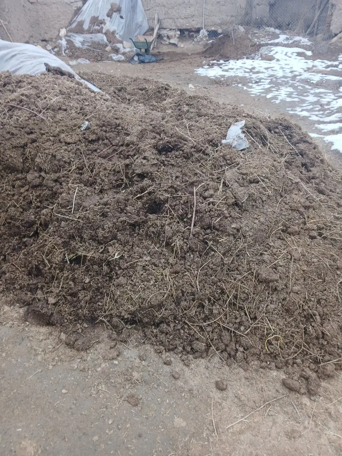 پهن خیس گاو|لوازم جانبی حیوانات|نوشین شهر, |دیوار