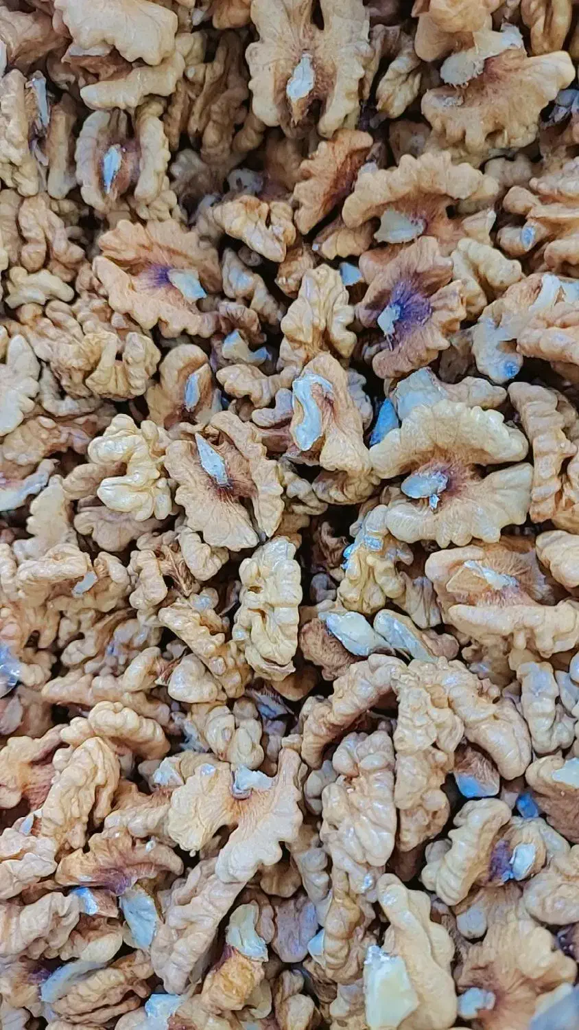 مغز گردو سنندج|خوردنی و آشامیدنی|قم, شاه ابراهیم|دیوار