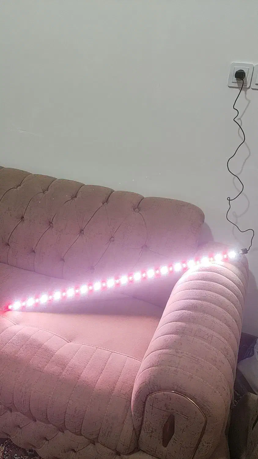 اکواریم شرکتی|ماهی|قم, امامزاده ابراهیم|دیوار