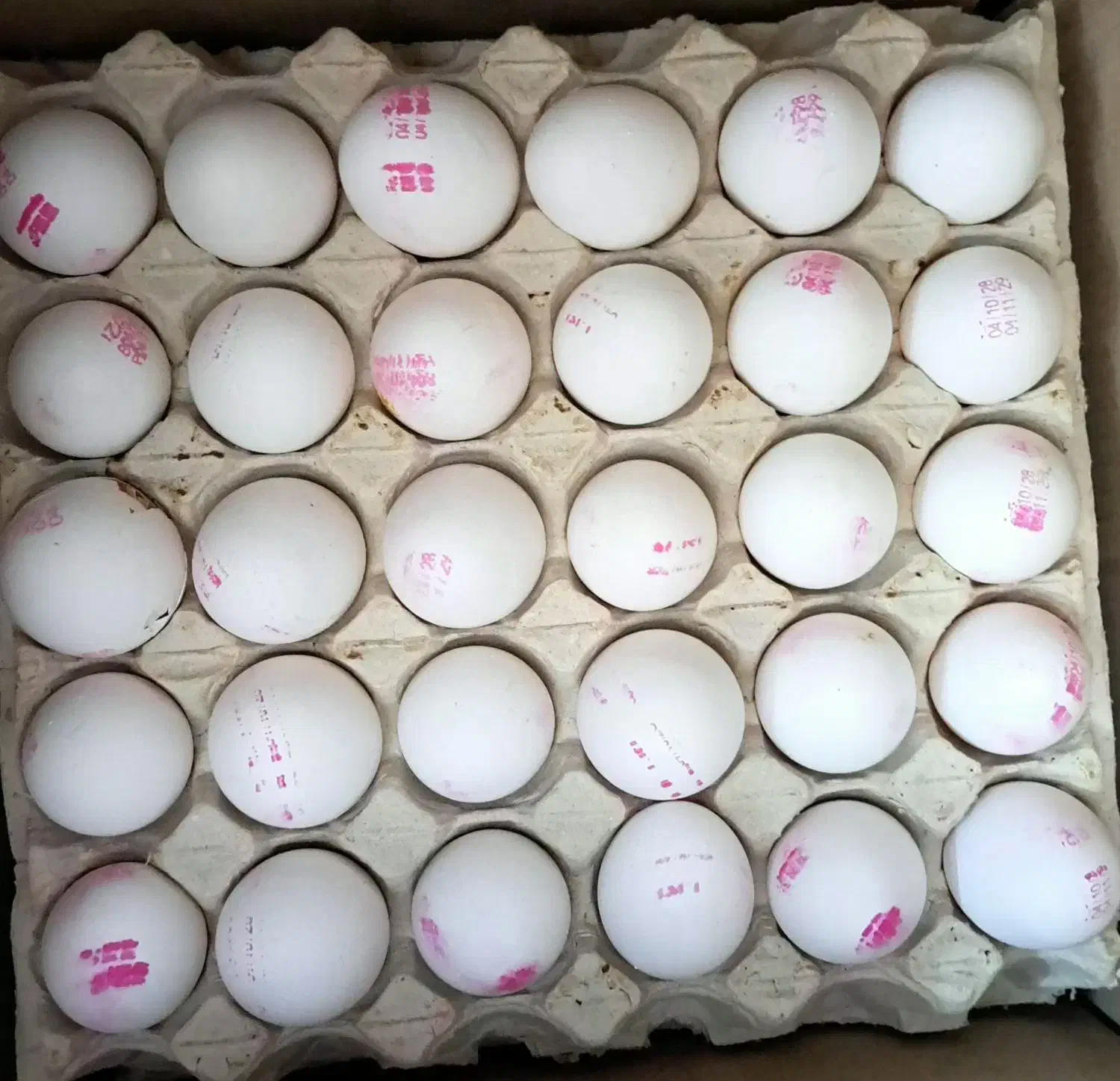 تخم مرغ|خوردنی و آشامیدنی|محمدشهر, سیدآباد|دیوار