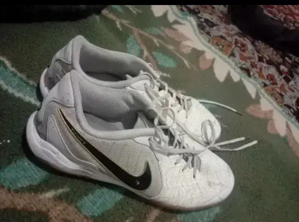 کفش فوتسال|کیف، کفش، کمربند|شیراز, سیاه سنگ|دیوار