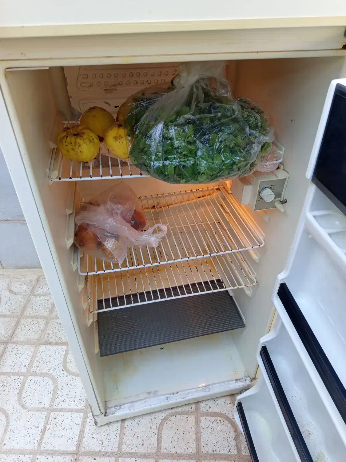 یخچال قدیمی|یخچال و فریزر|اردستان, |دیوار