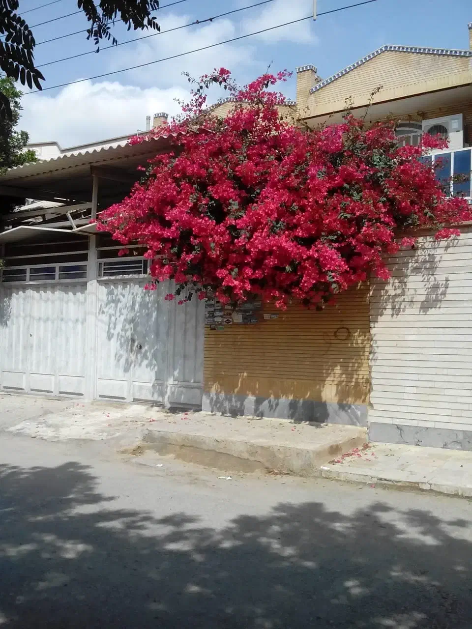 ملک ویلایی 220 متری خرداد غربی فاز یک پادادشهر|فروش خانه و ویلا|اهواز, فاز ۱ پادادشهر|دیوار