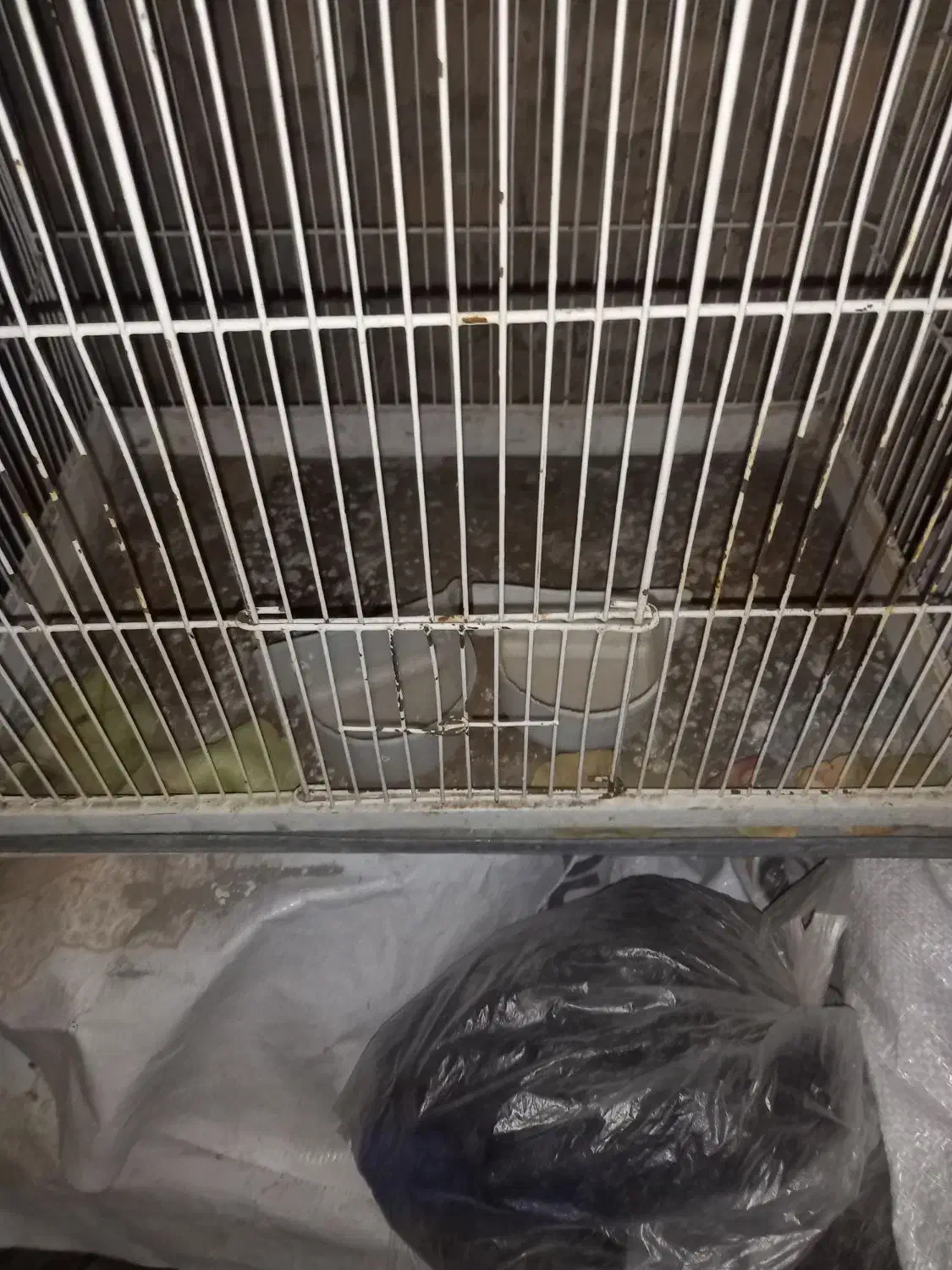 قفس|لوازم جانبی حیوانات|فردوس (خراسان), |دیوار