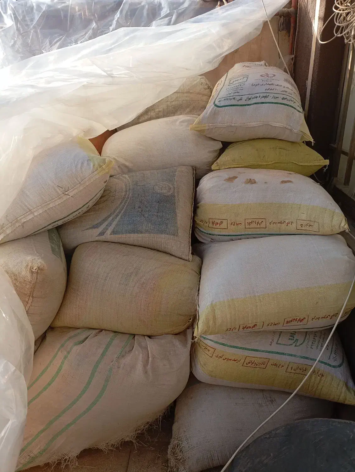 خارپودرشده|حیوانات مزرعه|عطاملک, |دیوار