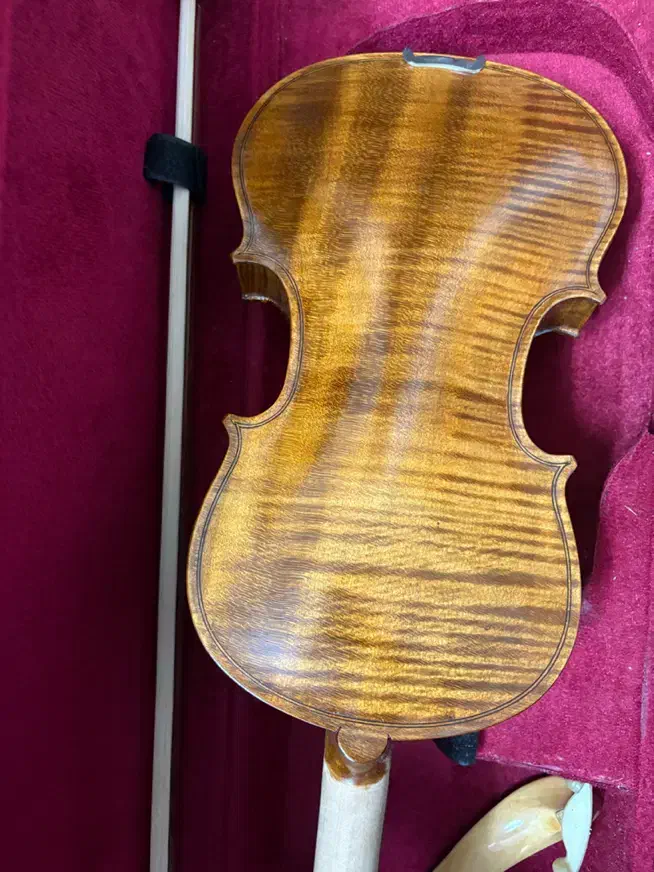 ویولن دستساز ایرانی نو|ویولن|قم, انسجام|دیوار