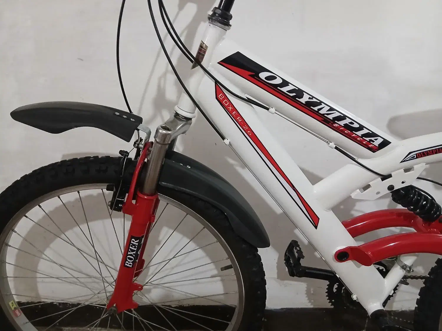 دوچرخه ۲۶ دنندیی|فعالیت داوطلبانه|شیراز, مسلم|دیوار