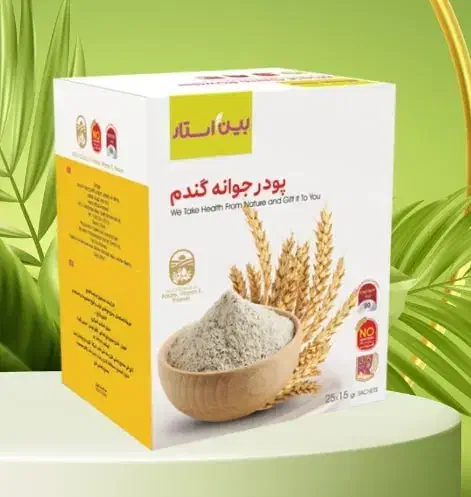 پودر جوانه گندم بین استار ( تخفیف بلک فرایدی )|خوردنی و آشامیدنی|فردیس, خیام غربی|دیوار