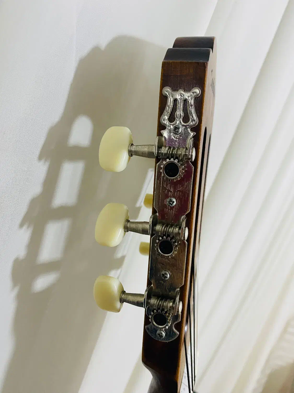 فروش گیتارCordoba|گیتار، بیس، امپلیفایر|بندرعباس, |دیوار