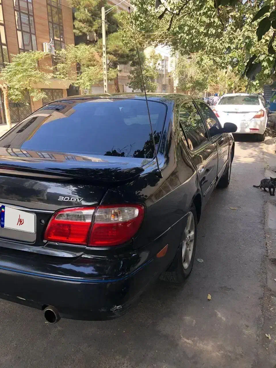 ماکسیما 2004تمیز به شرط|خودرو سواری و وانت|مشهد, کوشش|دیوار