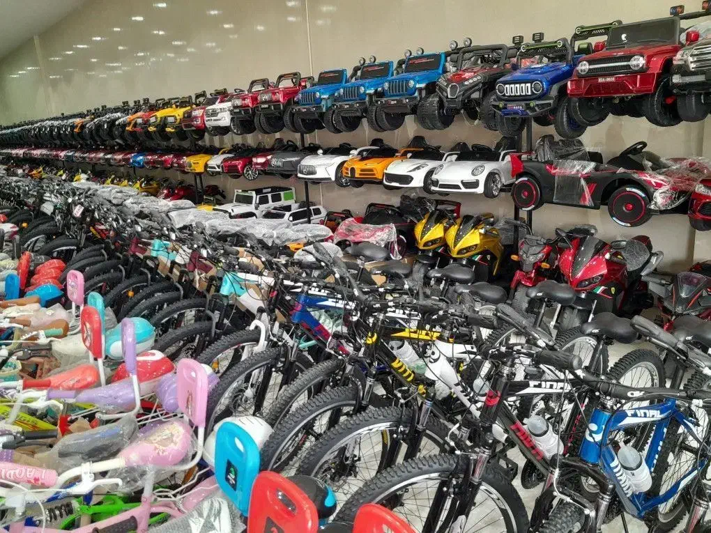 چکی دوچرخه حرفه ای بخر/ اقساطی/ماشین برقی|دوچرخه، اسکیت، اسکوتر|اردبیل, |دیوار