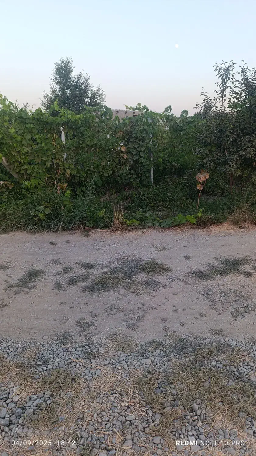 باغچه الوان 500متری|فروش زمین و ملک کلنگی|نوشین شهر, |دیوار