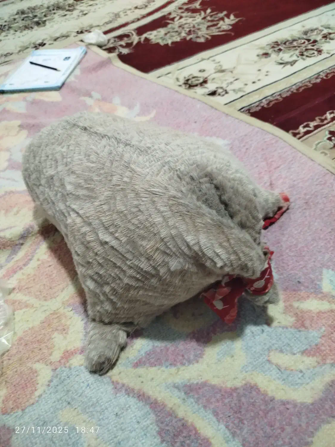 خیگ|خوردنی و آشامیدنی|دهدشت, |دیوار