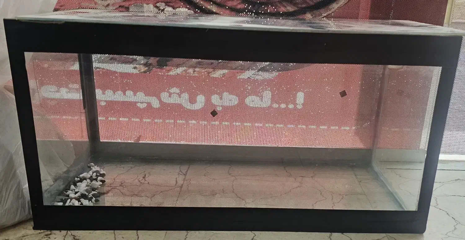 آکواریم کاملا سالم و تمیز|ماهی|تهران, گلستان (شهرک راه آهن)|دیوار