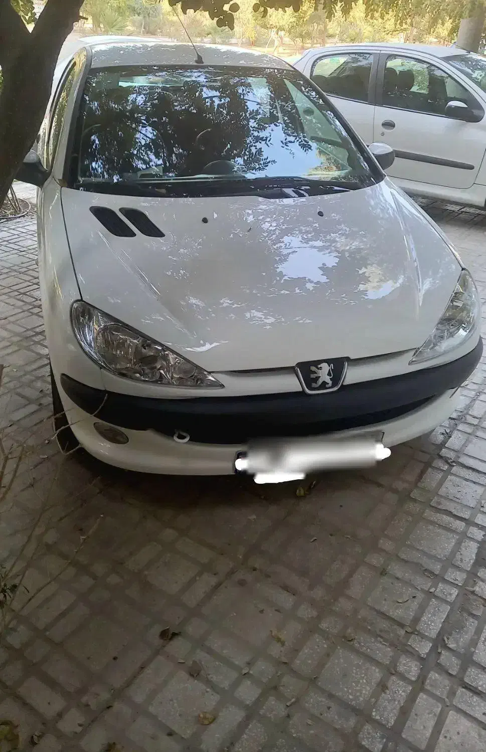 پژو 206 SDv8 مدل ۹۷ کم کارکرد|خودرو سواری و وانت|یزد, |دیوار