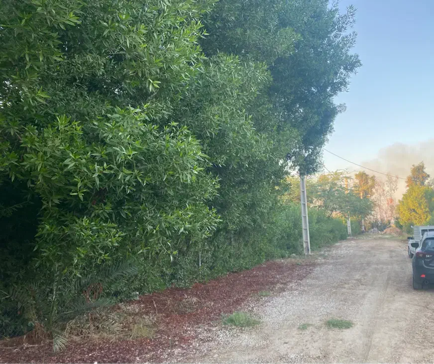 زمین باغ|فروش زمین و ملک کلنگی|شوشتر, |دیوار