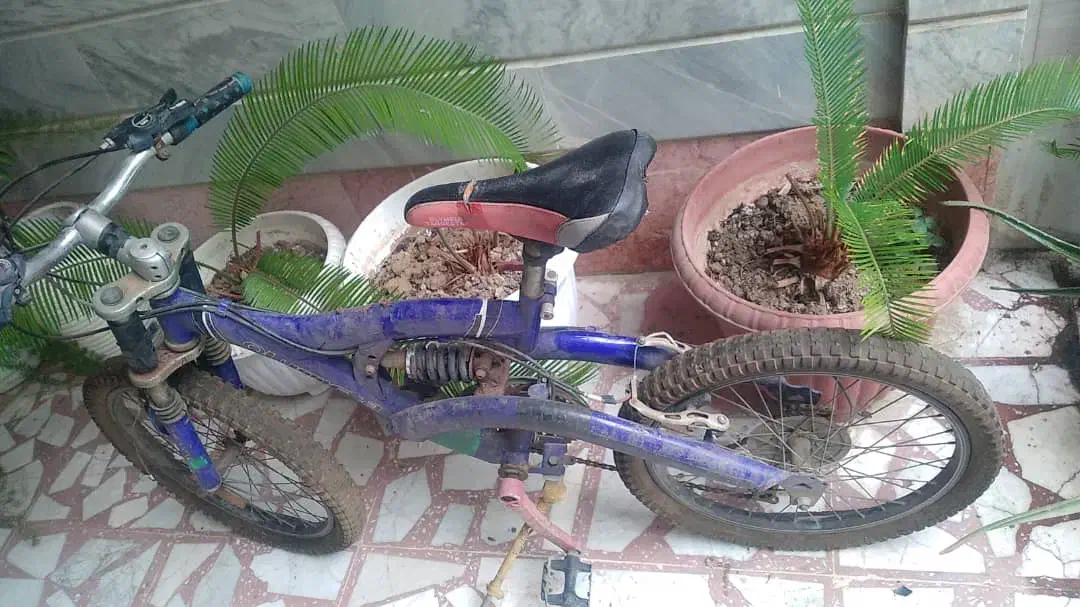 فروش دوچرخه|دوچرخه، اسکیت، اسکوتر|امیرکلا, |دیوار