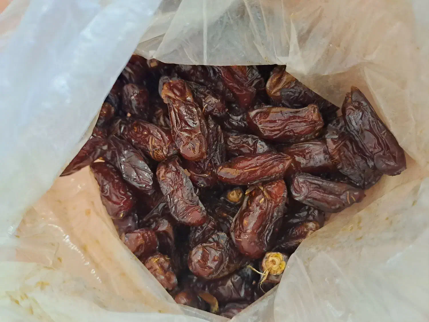 خرما سعمرون سهمرون وخرما پیارم|خوردنی و آشامیدنی|شنبه و طسوج, |دیوار