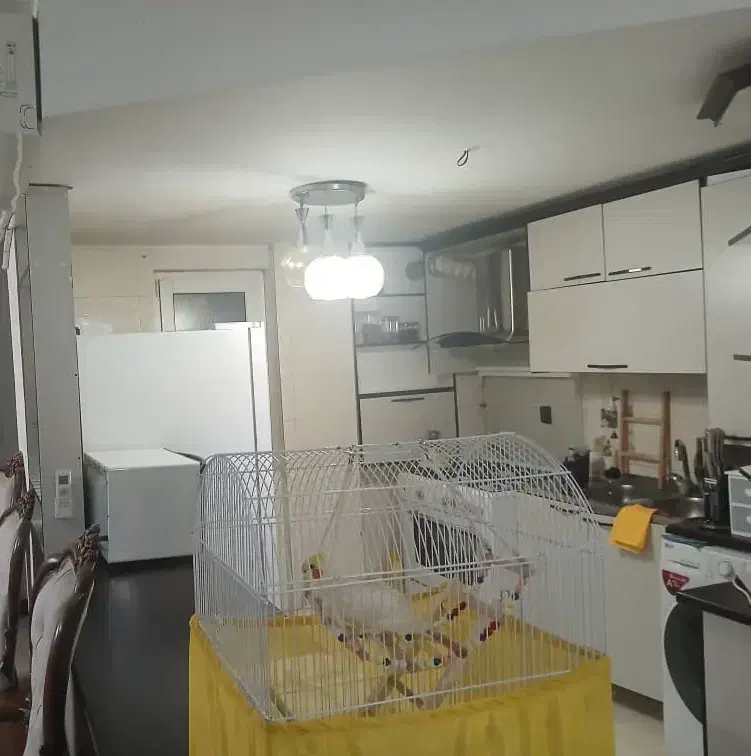 کابینت ام دی اف|مصالح و تجهیزات ساختمان|پاکدشت, شهرک امام رضا|دیوار