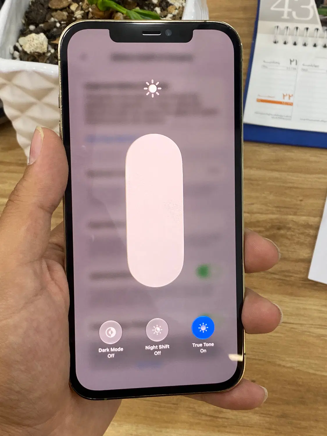 IPHONE 12 PRO MAX|موبایل|شیراز, معالی‌آباد|دیوار