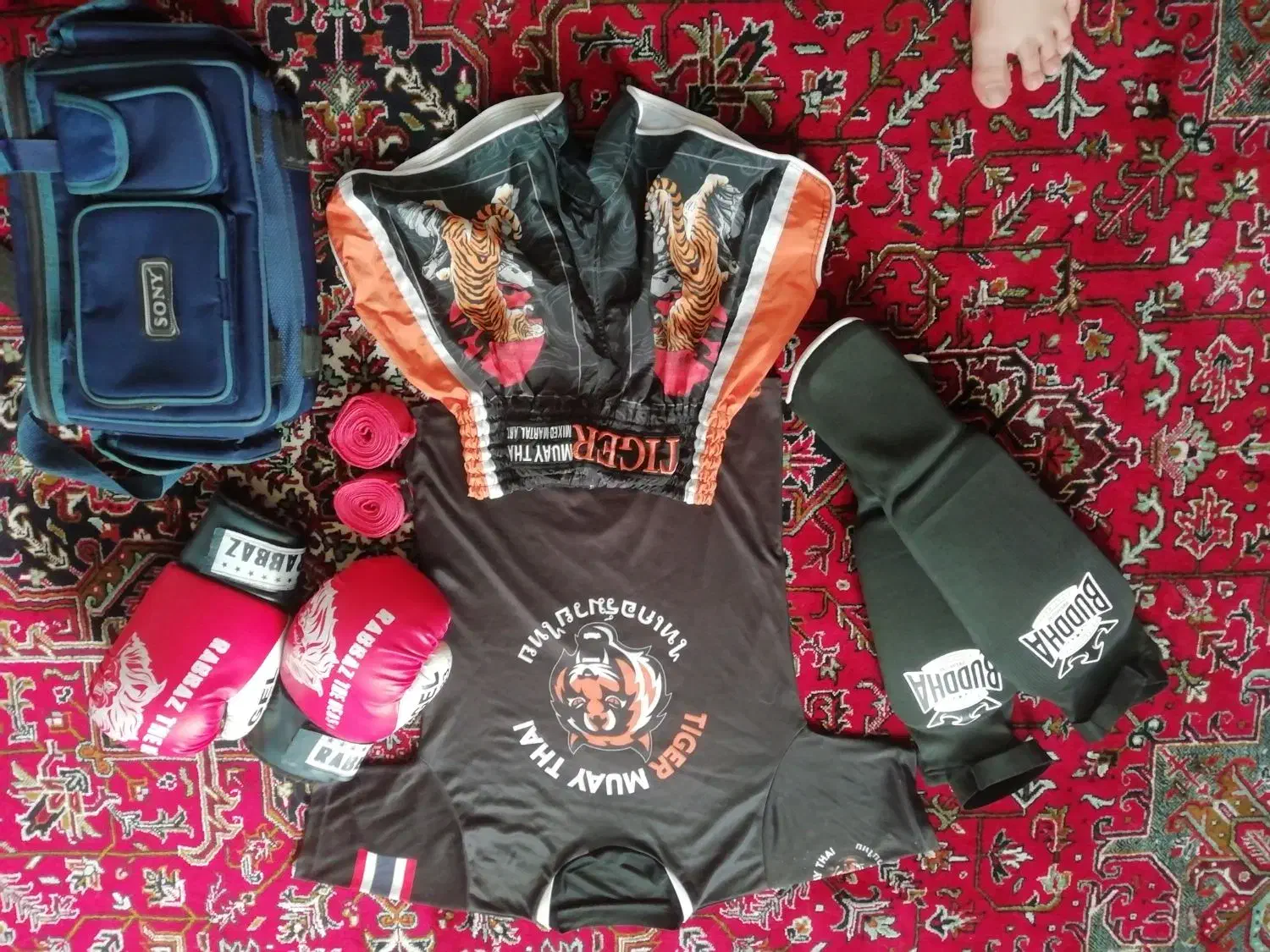 ست کامل موی تای اصل|تجهیزات ورزشی|خوی, |دیوار