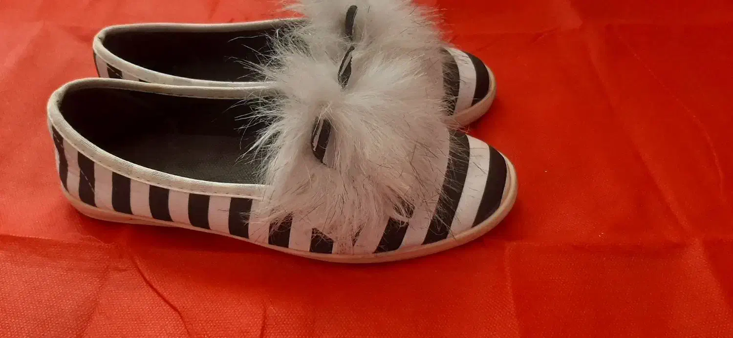 کفش و دمپایی روفرشی چرم واسکیت|کیف، کفش، کمربند|سبزوار, کاشفی شمالی (دادگستری)|دیوار