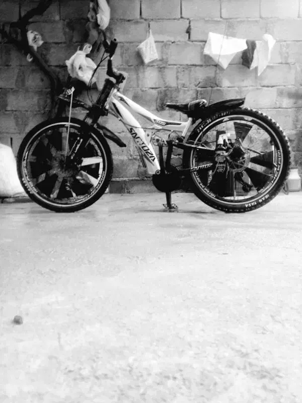 دوچرخه 24|دوچرخه، اسکیت، اسکوتر|بجنورد, |دیوار