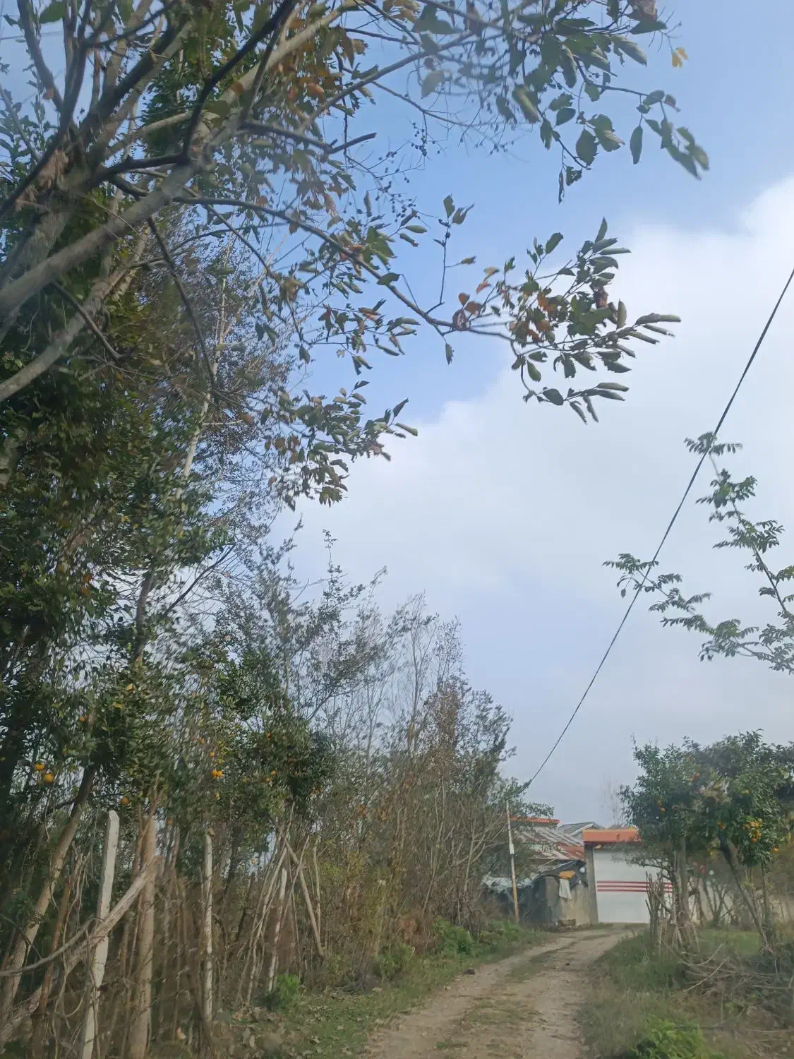 ویلا با ۵۰۰ متر زمین|فروش خانه و ویلا|رضوانشهر, |دیوار