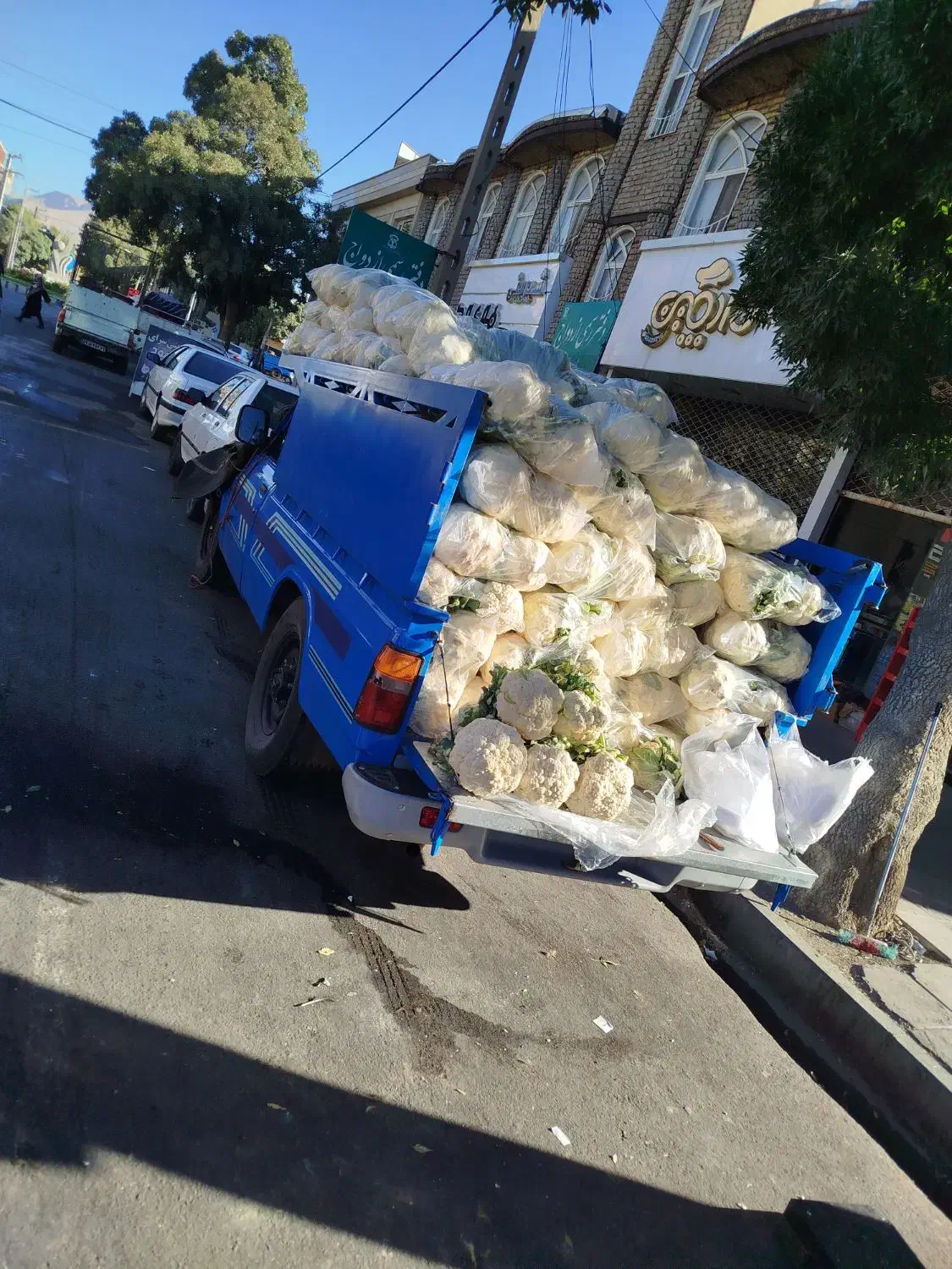 نیسان ۱۴۰۳|خودرو سواری و وانت|سنقر, |دیوار